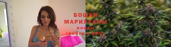 соль ск Сосновый Бор
