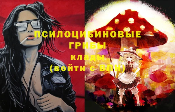 mix Снежногорск