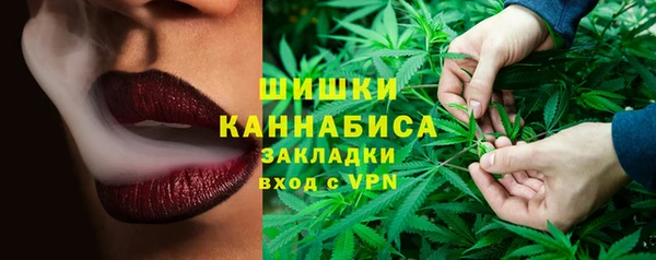 соль ск Сосновый Бор