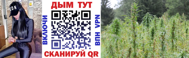 Купить  Саки  Марихуана Bruce Banner 